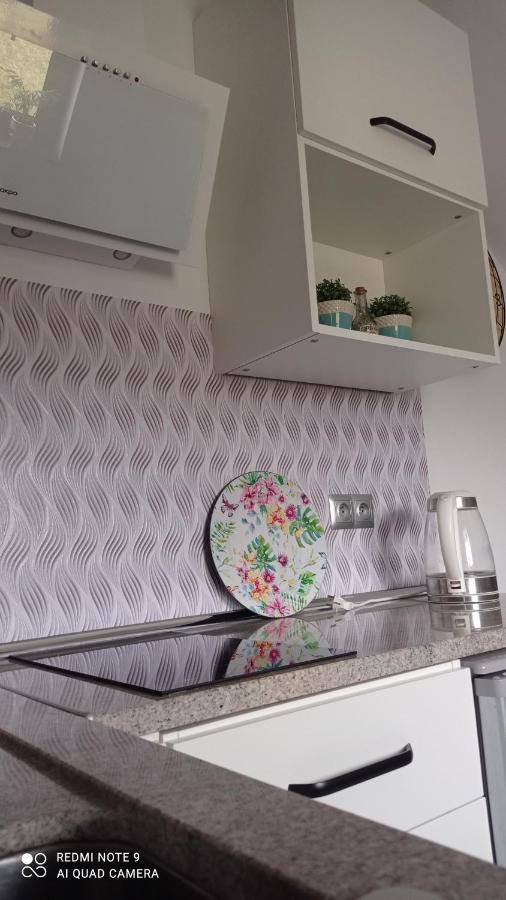 Maly Apartamencik Teo Rewal Extérieur photo